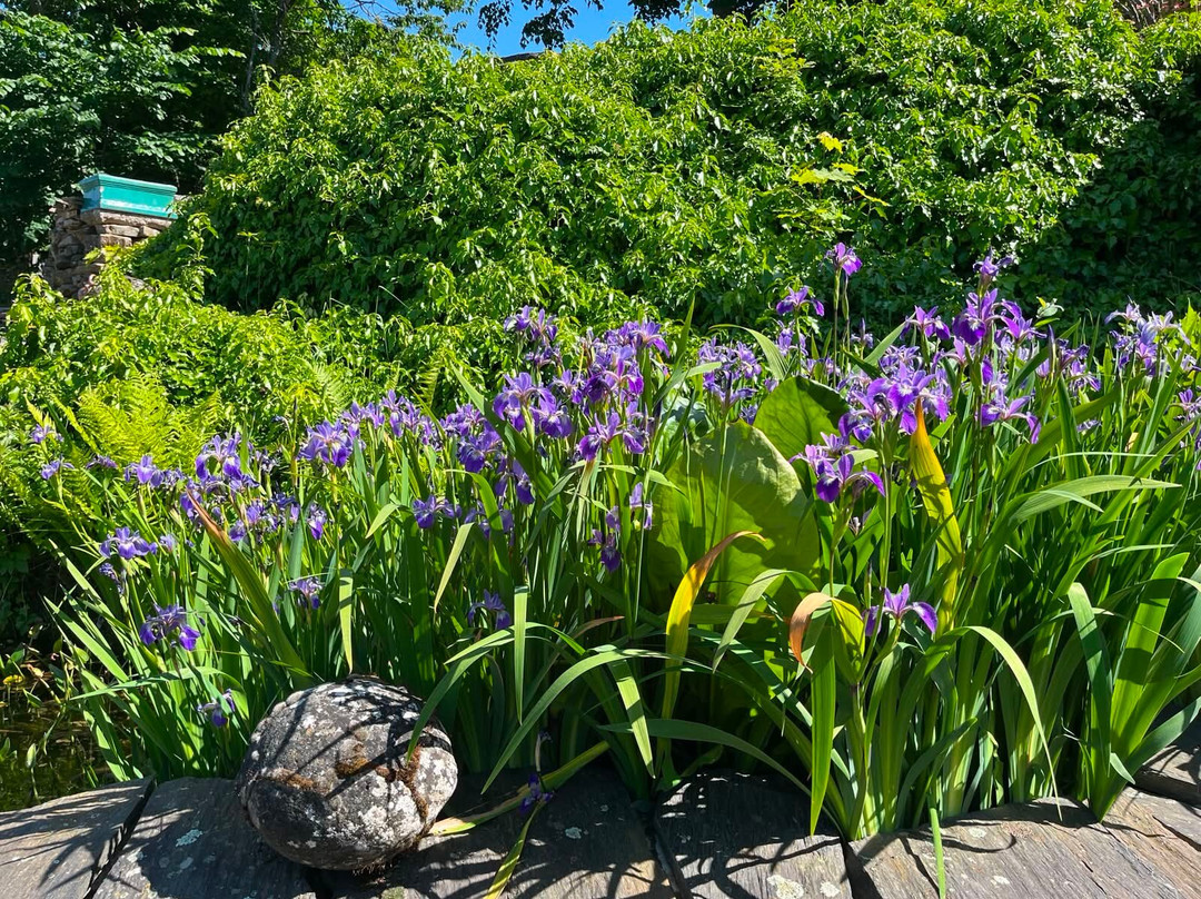 Jardin La Terre Pimprenelle-Alboussiere必去景点