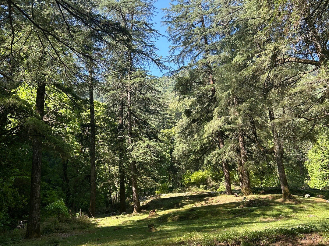 Benog Wildlife Sanctuary-马苏里必去景点