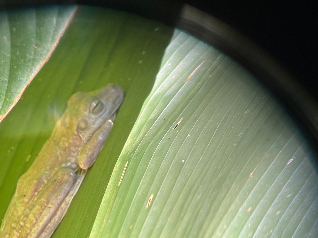 SimbiOsa Wild Costa Rica-哥斯达黎加安东尼奥国家公园必去景点