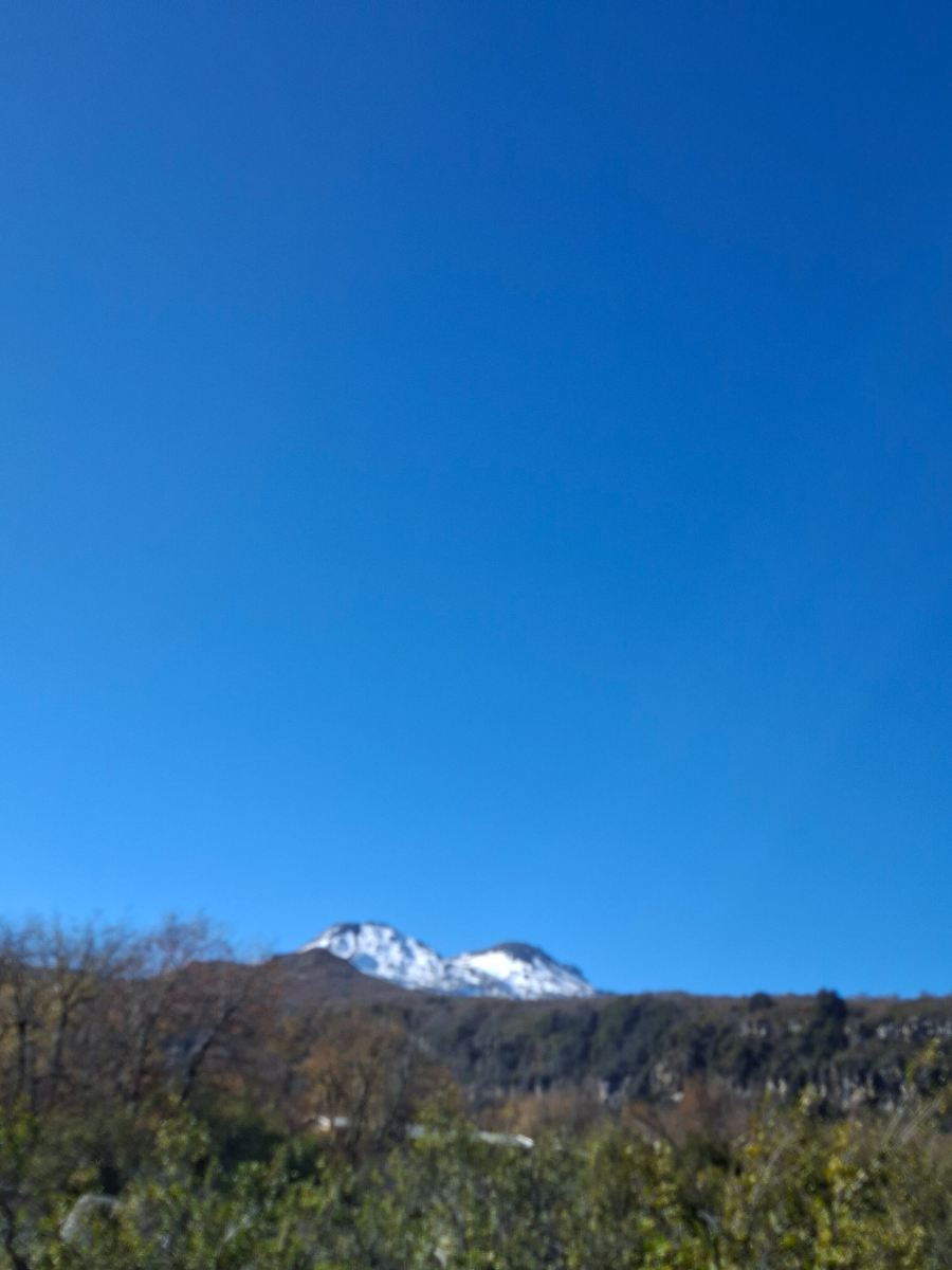 MI Lodge Las Trancas Hotel & Spa-旅行者