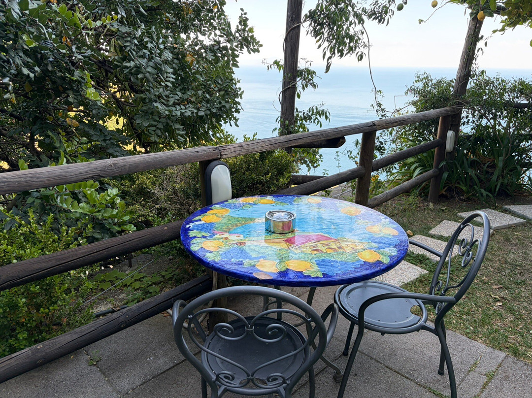 印度菲克假日旅馆主图