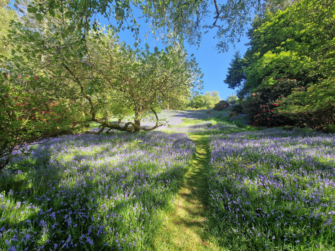 Angus's Garden, Barguillean