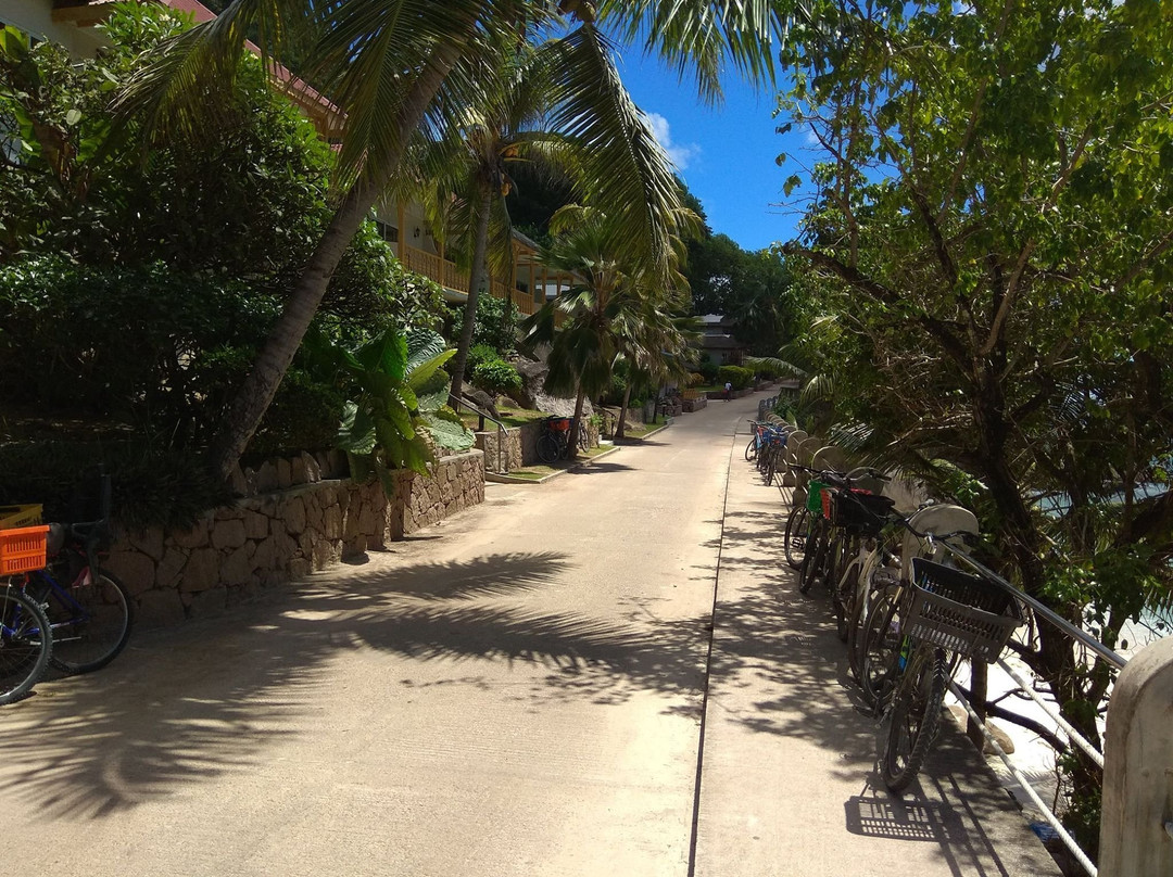 Anse Patates Beach-拉迪格岛必去景点