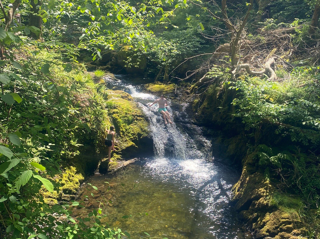 Dolgoch Falls-雪墩国家公园必去景点