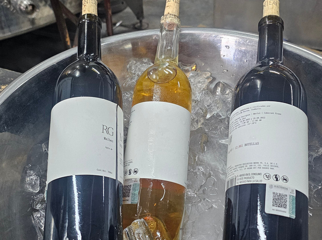 Bodega RGMX-Parras de la Fuente必去景点