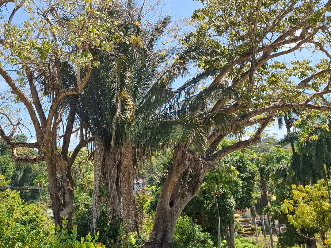 Scarborough Botanical Garden-斯卡伯勒必去景点
