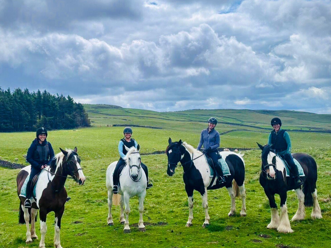 Kilnsey Trekking & Riding Centre-斯基普顿必去景点