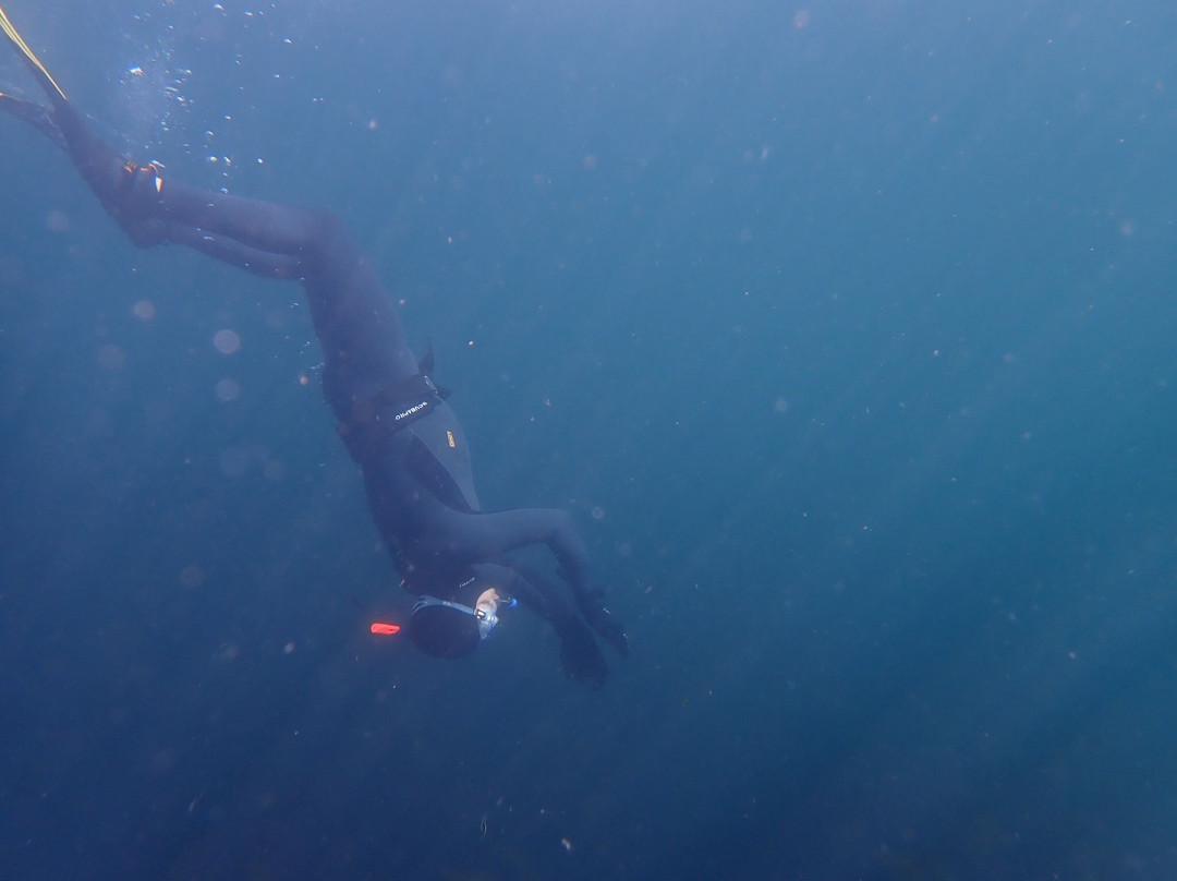 The Isle Of Eigg Guiding Co.-Isle of Eigg必去景点