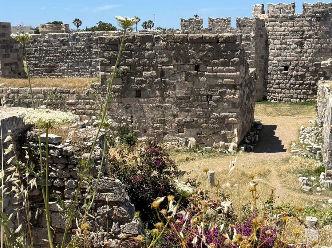 Kos Town Castle-Kos Town必去景点