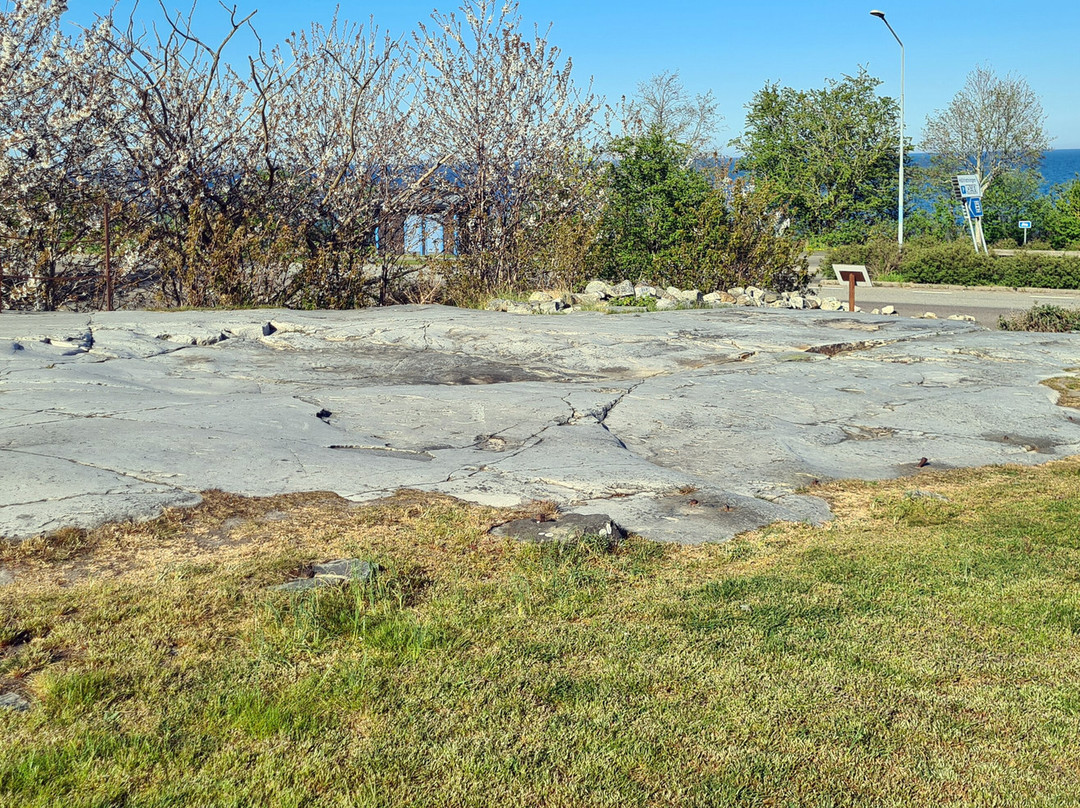 Horsahallen's Rock Carving Area-Simrishamn必去景点