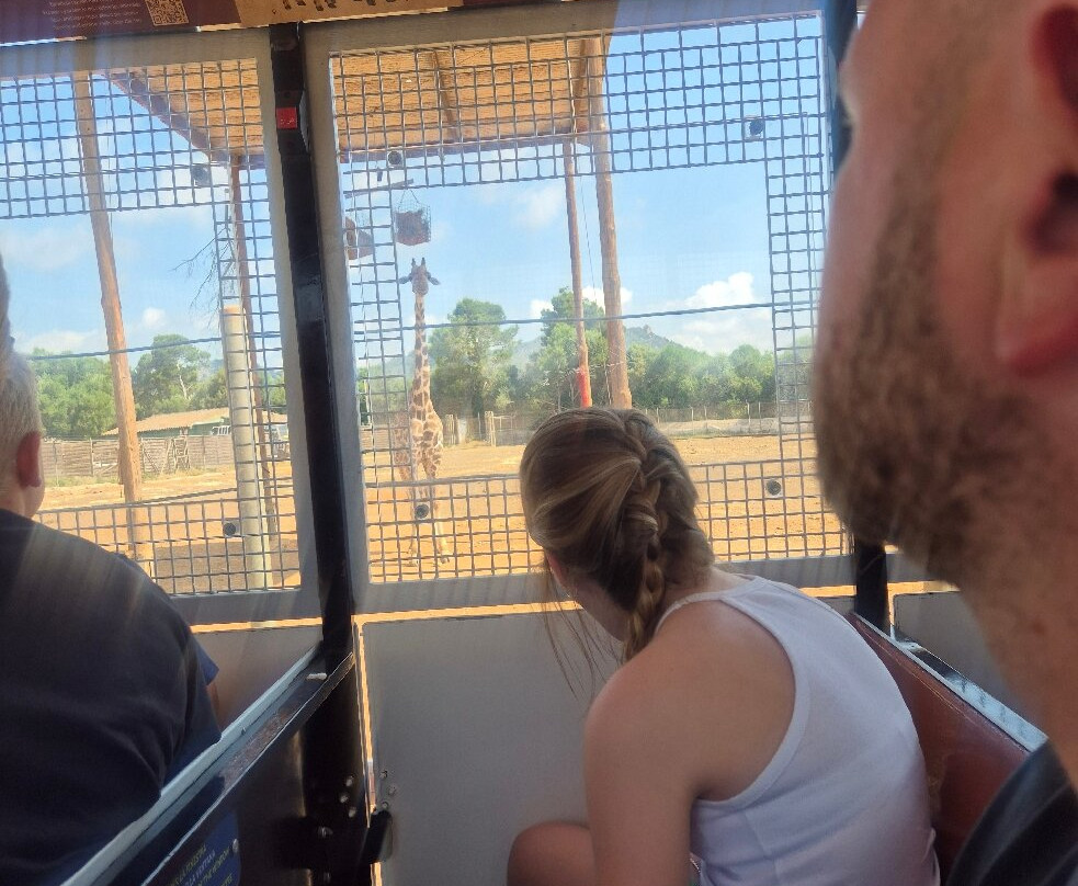 Safari Zoo Mallorca-萨可马必去景点