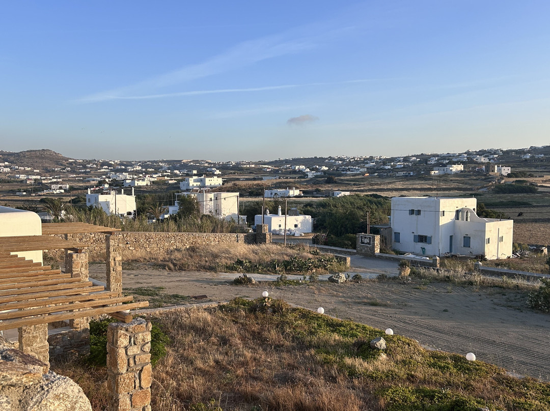 Alirene Mykonos