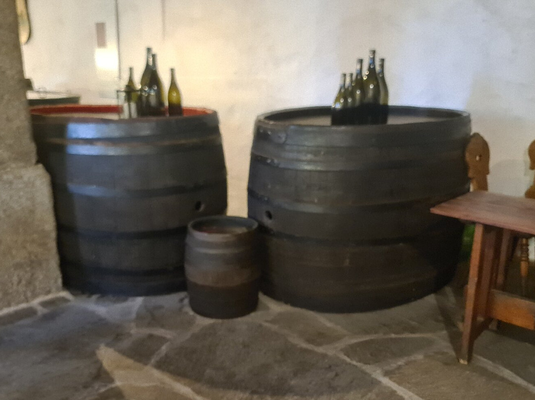 Castello Rametz - Wine Museum-梅拉诺必去景点