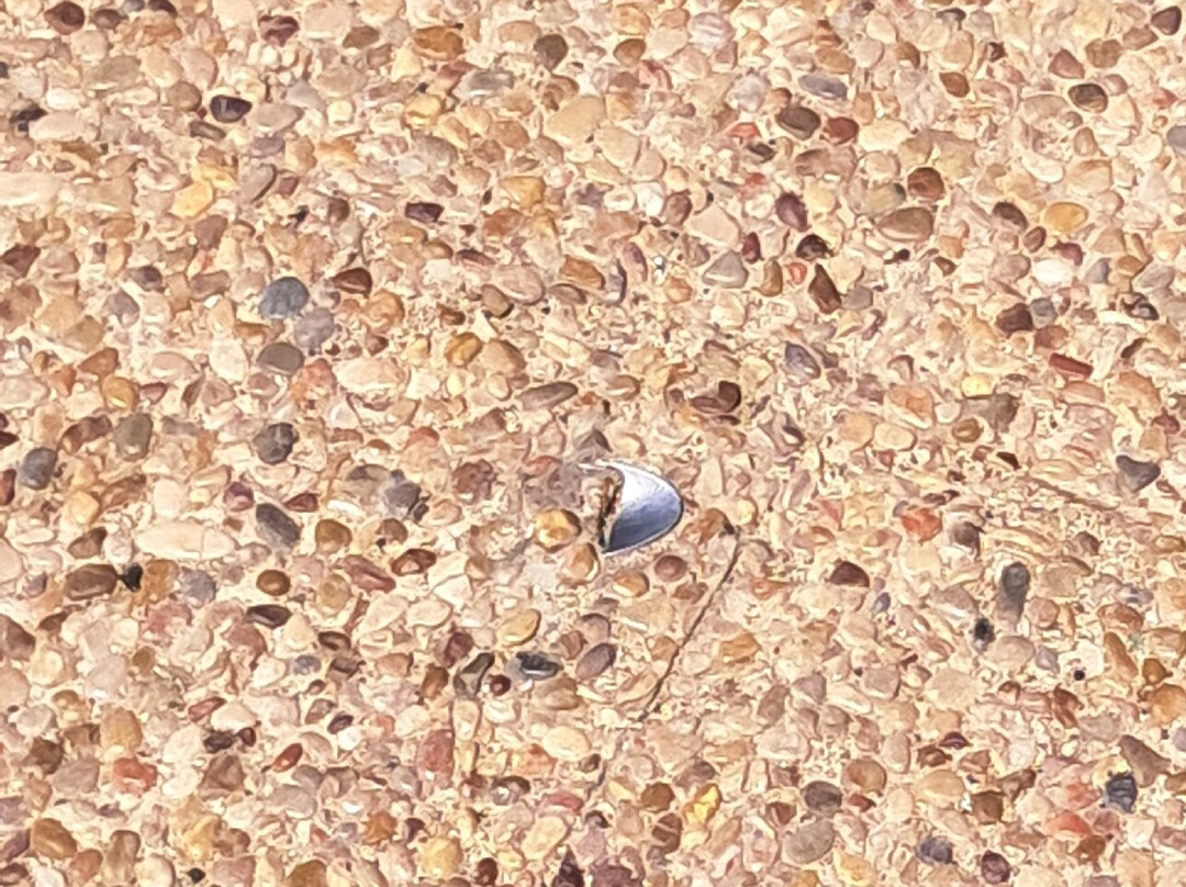 西班牙旅游景点-The Spoon In Concrete