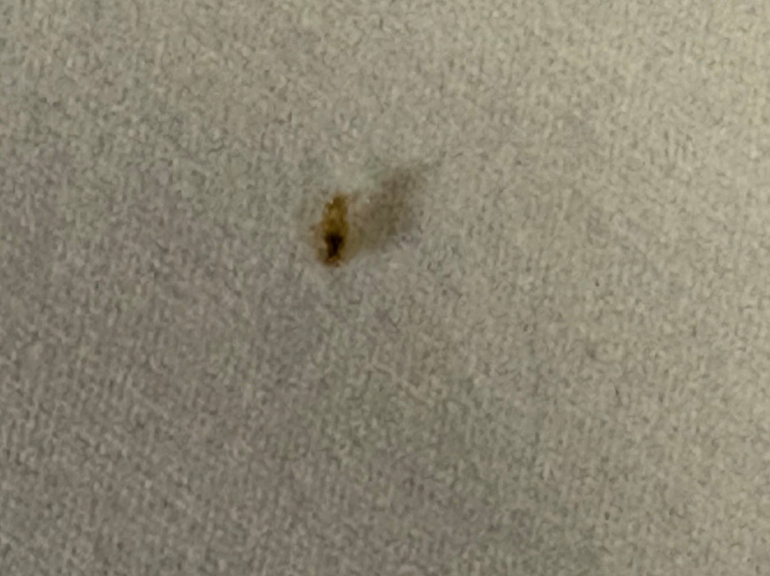 查塔努加北希克森拉昆塔温德姆套房酒店主图