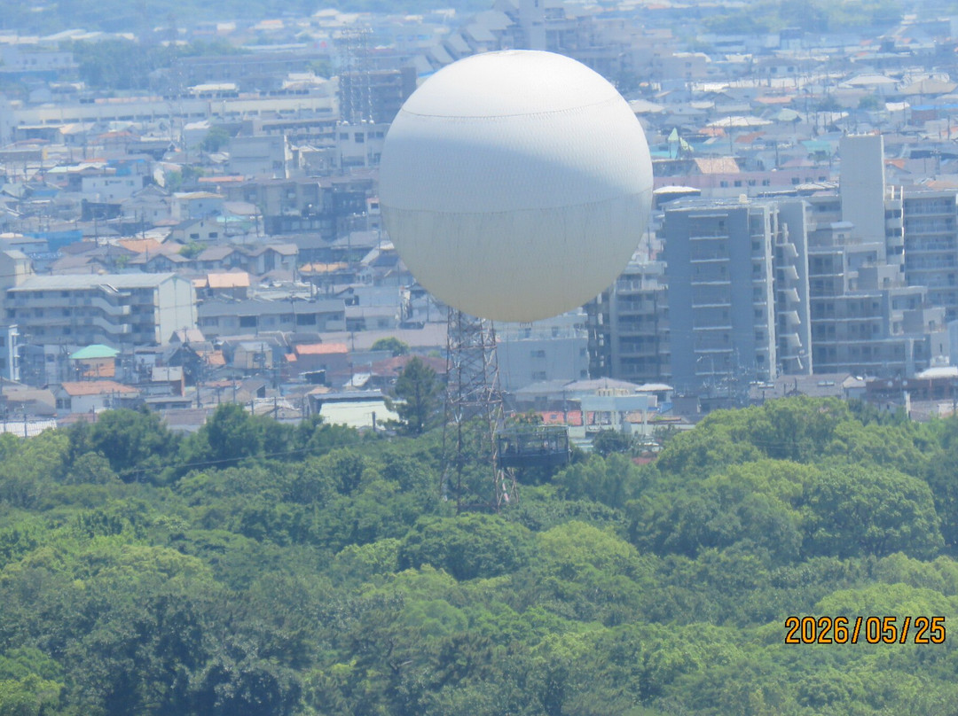 Sakai City Hall Observatory 21st Flour-坂井市必去景点