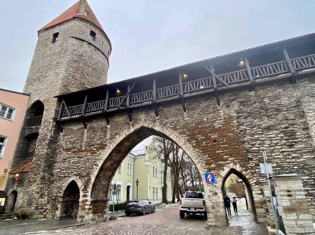 Kiek in de Kök Fortifications Museum-塔林必去景点