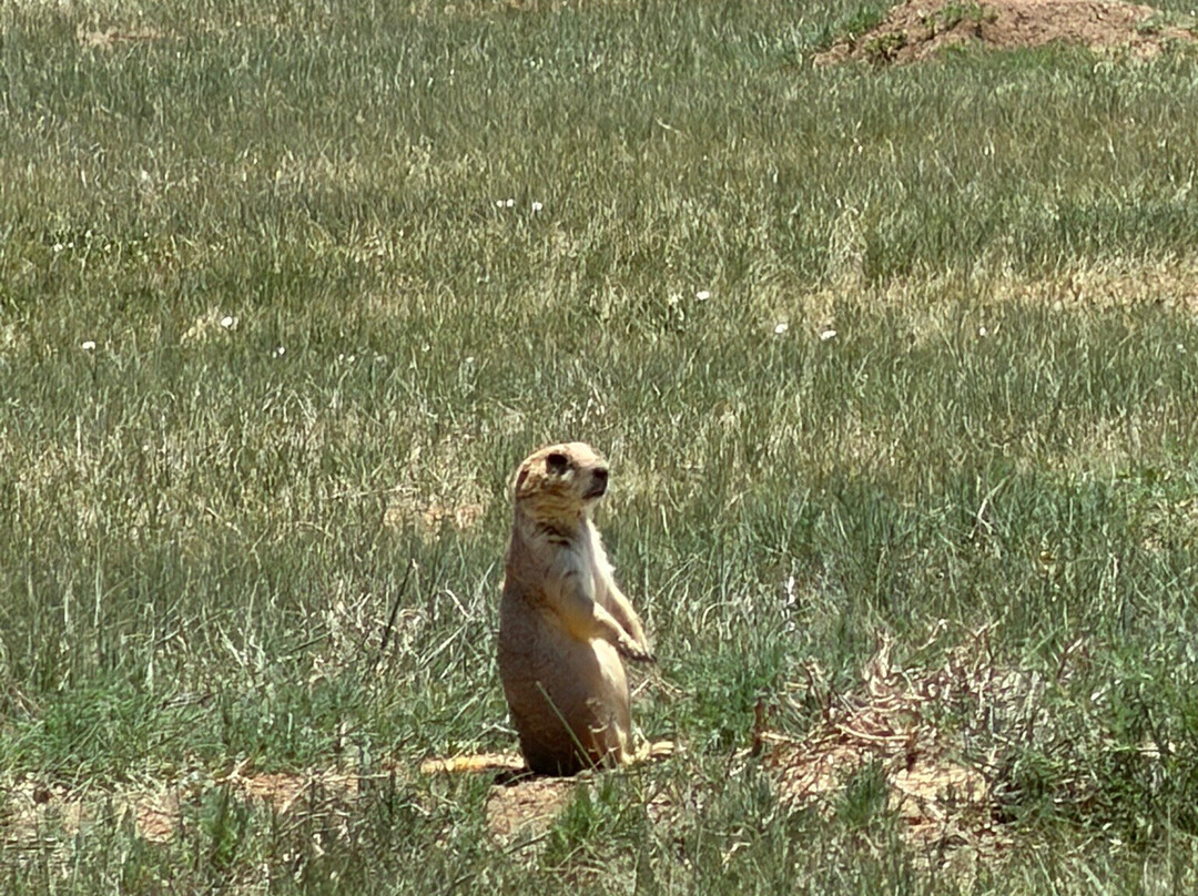 Rocky Mountain Arsenal National Wildlife Refuge-Commerce City必去景点