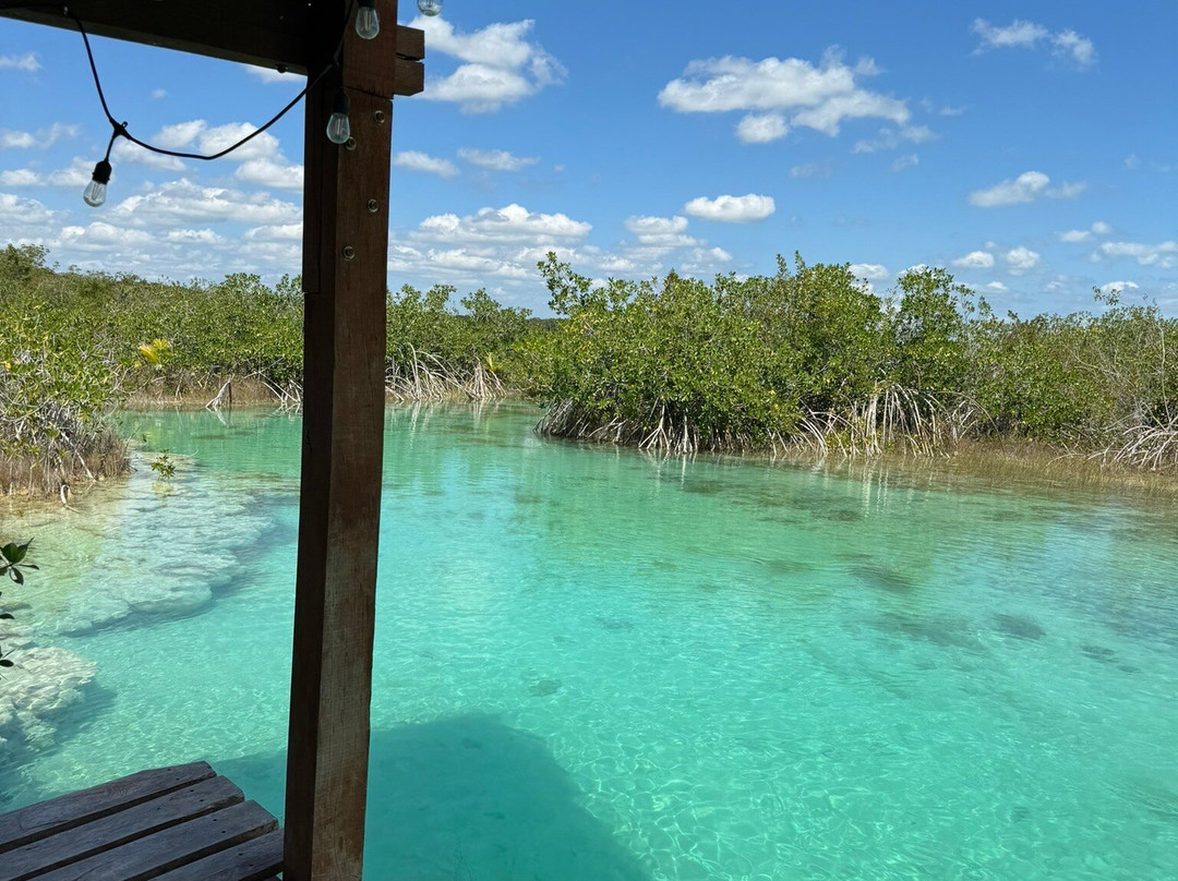 Stromatolites in Bacalar Rapids-Bacalar必去景点