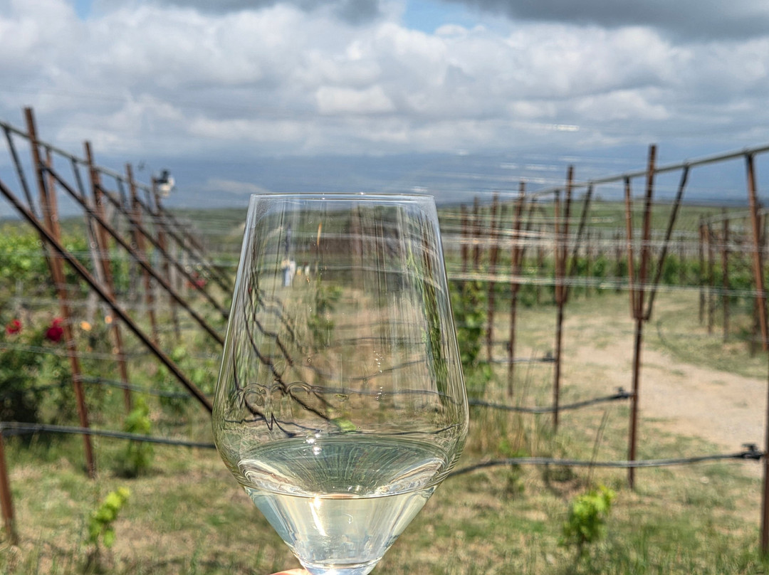 Lyrarakis Winery-伊拉克利翁必去景点