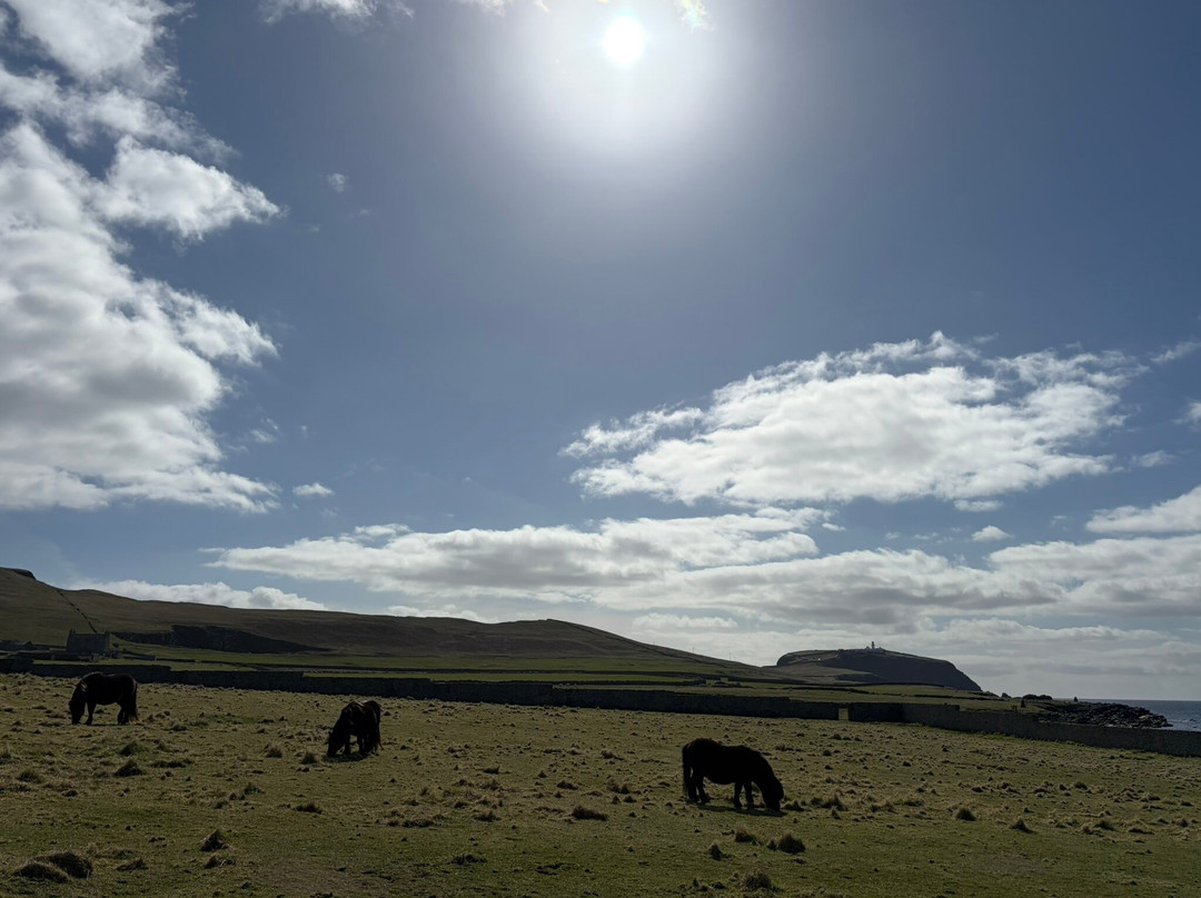 Jarlshof Prehistoric and Norse Settlement-Sumburgh必去景点