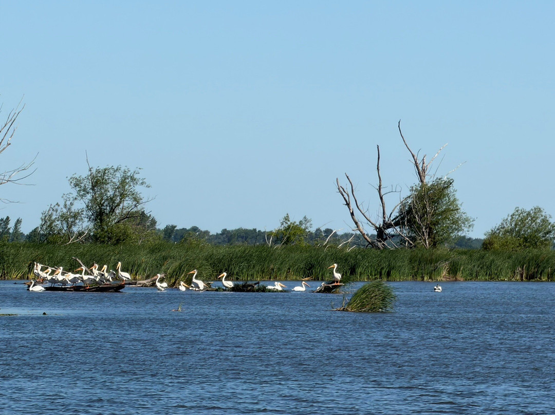 Horicon Marsh Boat Tours-Horicon必去景点