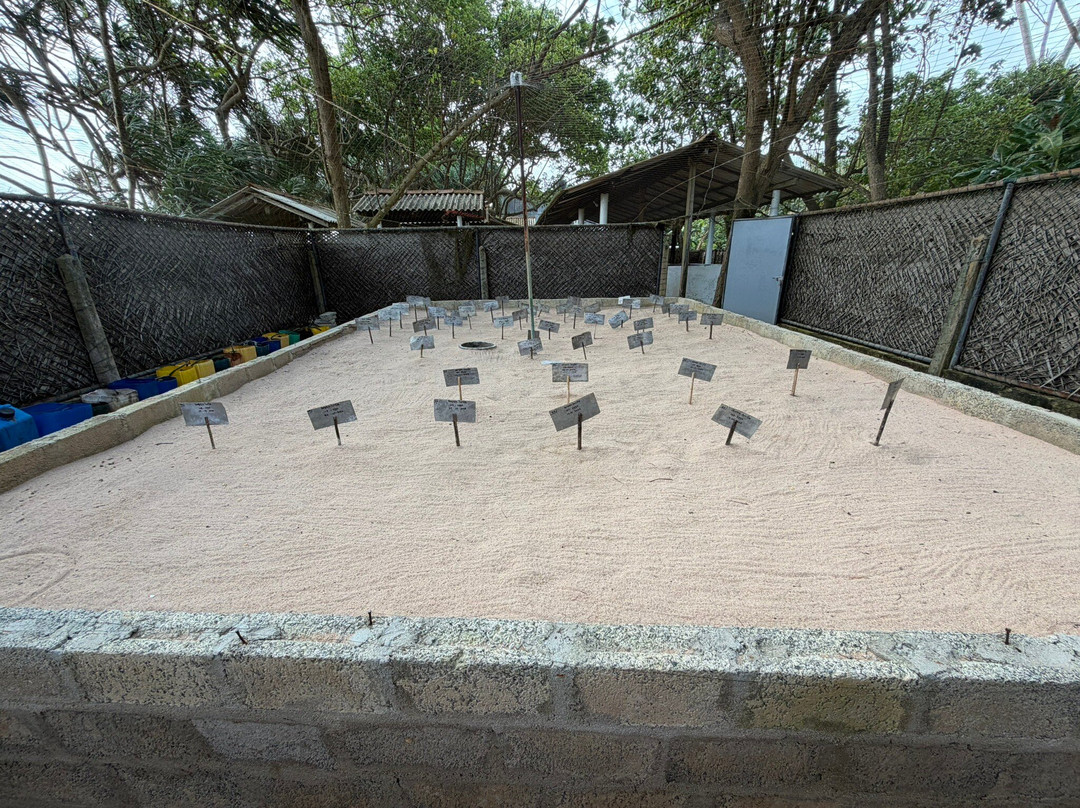 Galbokka Sea Turtle Hatchery-科斯戈德必去景点