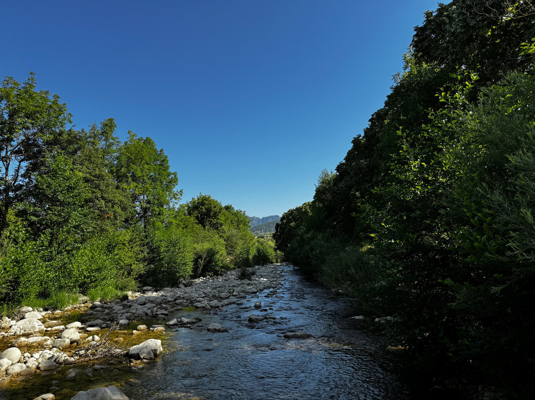 Camping le Gap des Tortelles