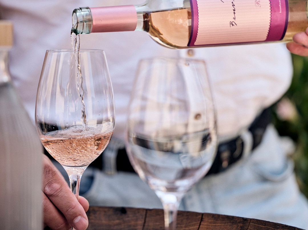 Benvenuti Winery-Motovun必去景点
