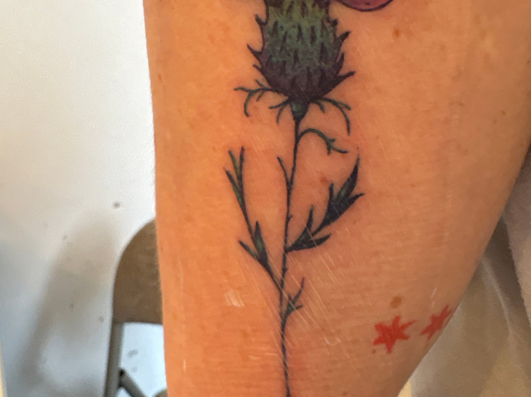 Sanatorium Tattoo-爱丁堡必去景点
