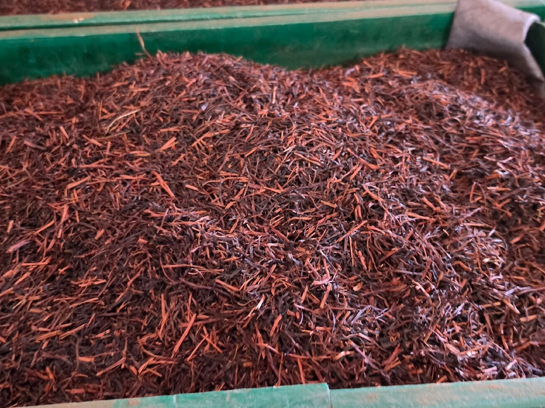 Glenloch Tea Factory-Katukitula必去景点