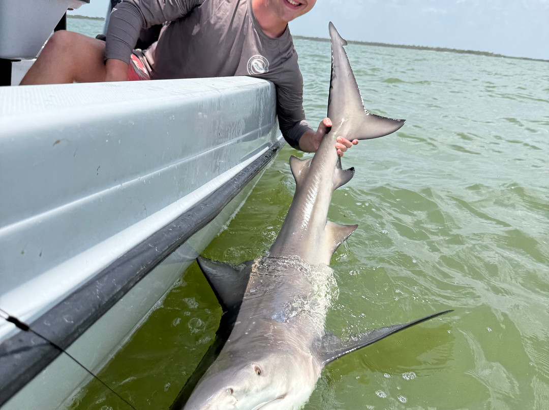 Shark Chaser Charters-Goodland必去景点