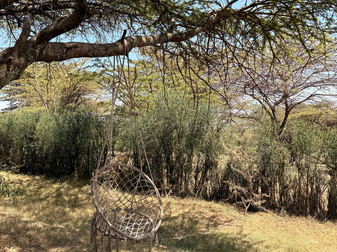 Oseki Maasai Mara Camp-Sekenani必去景点