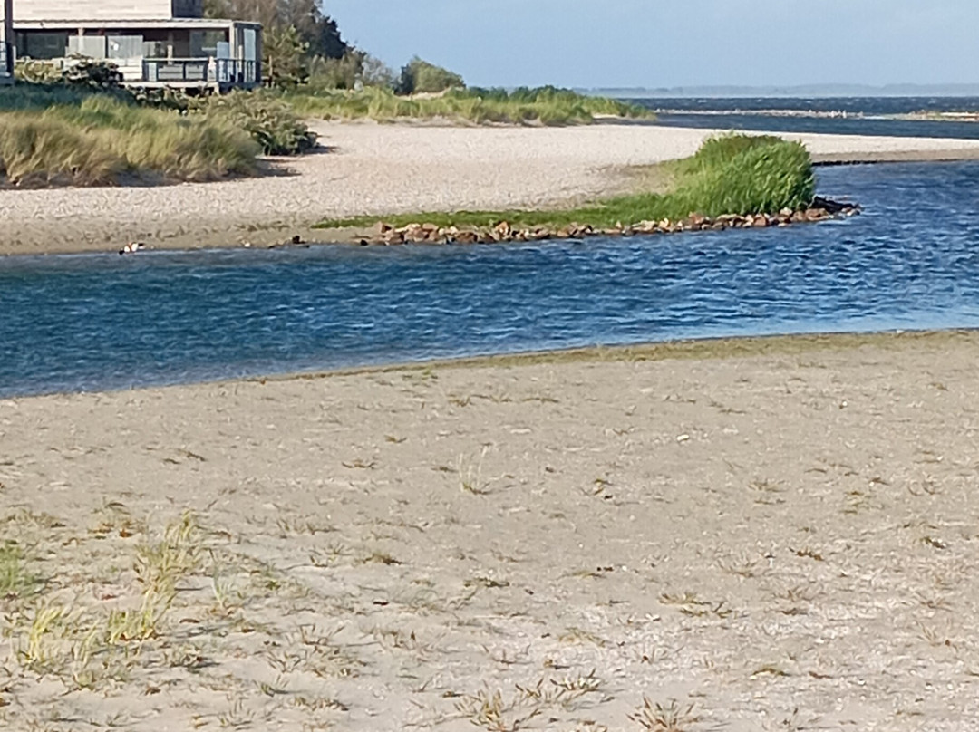 Beach Resort Punt West主图