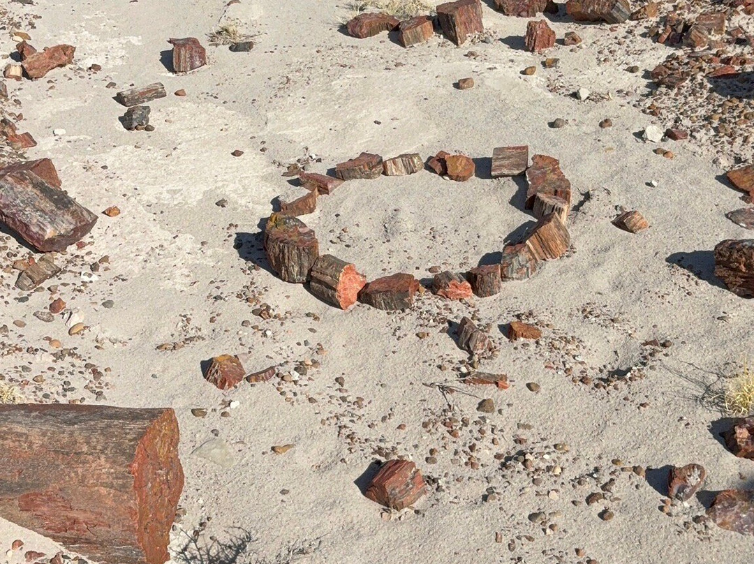 Petrified Forest National Park-霍尔布鲁克必去景点