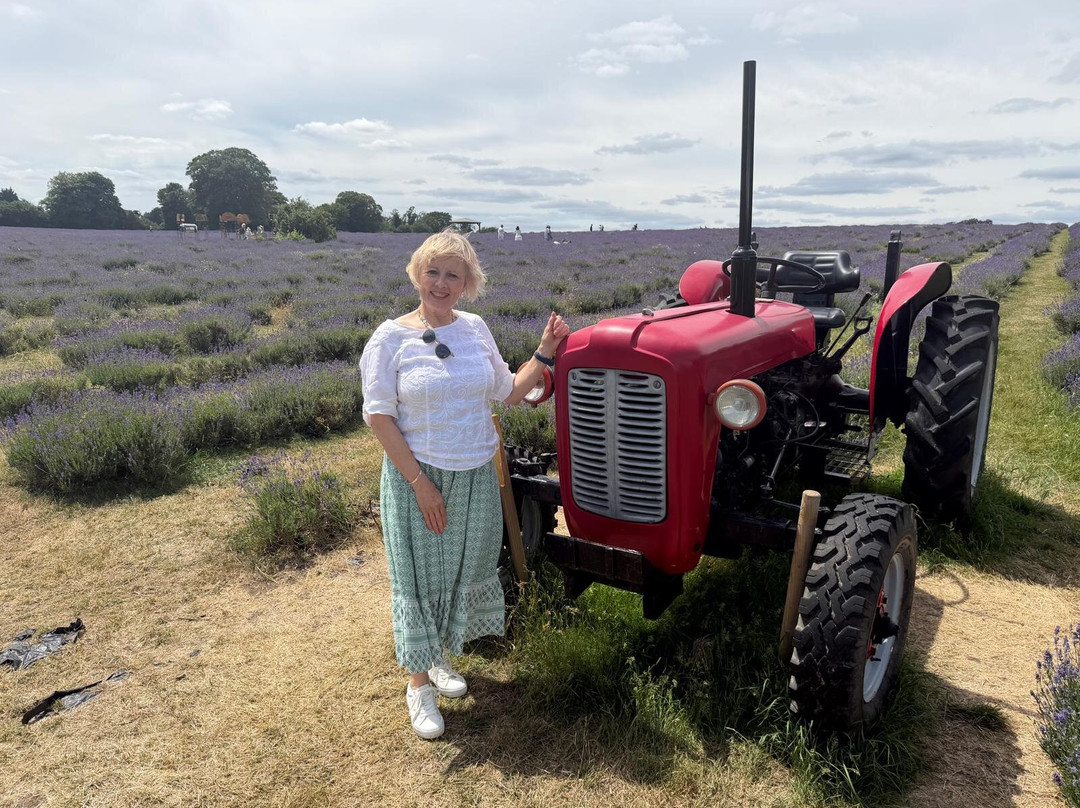 Mayfield Lavender Farm-Banstead必去景点