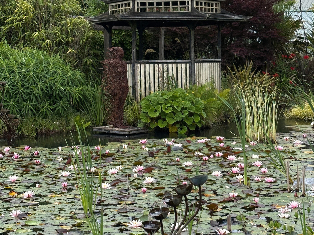 Coolwater Garden-利默里克必去景点