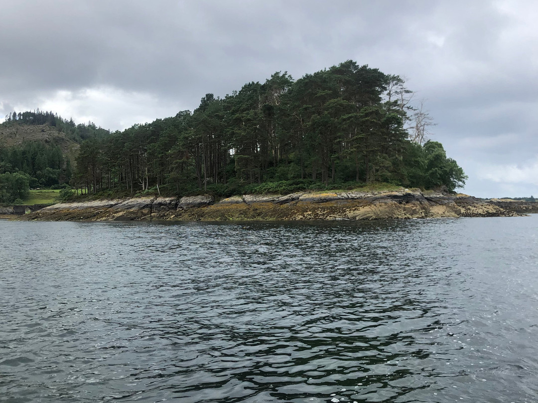 Calum's Seal Trips-Plockton必去景点