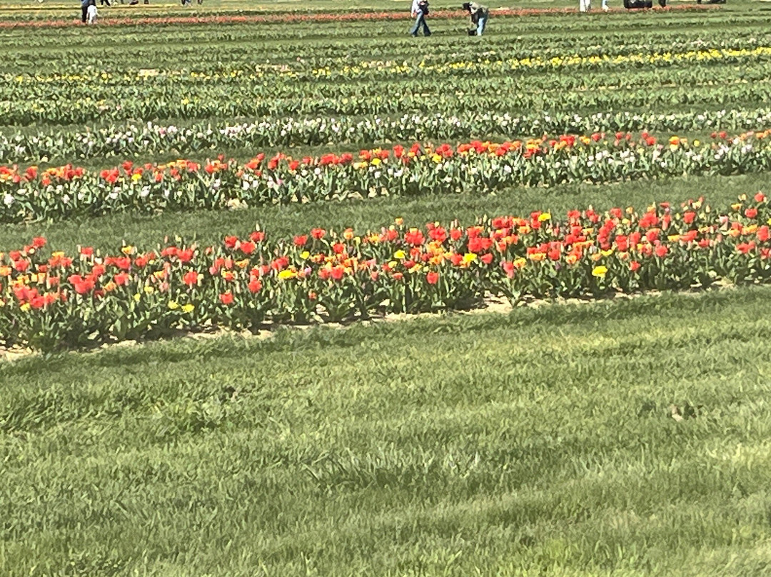 Holland Ridge Farms-Imlaystown必去景点