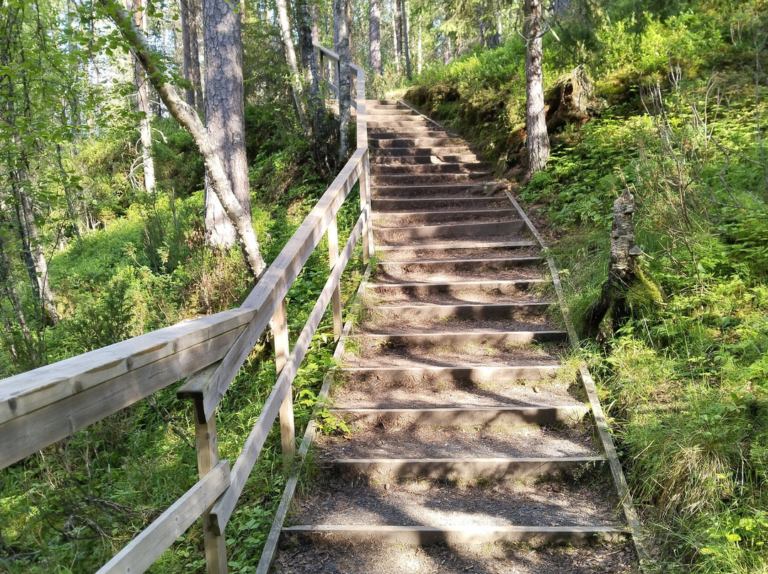 Oulanka National Park Visitor Center-Oulanka National Park必去景点
