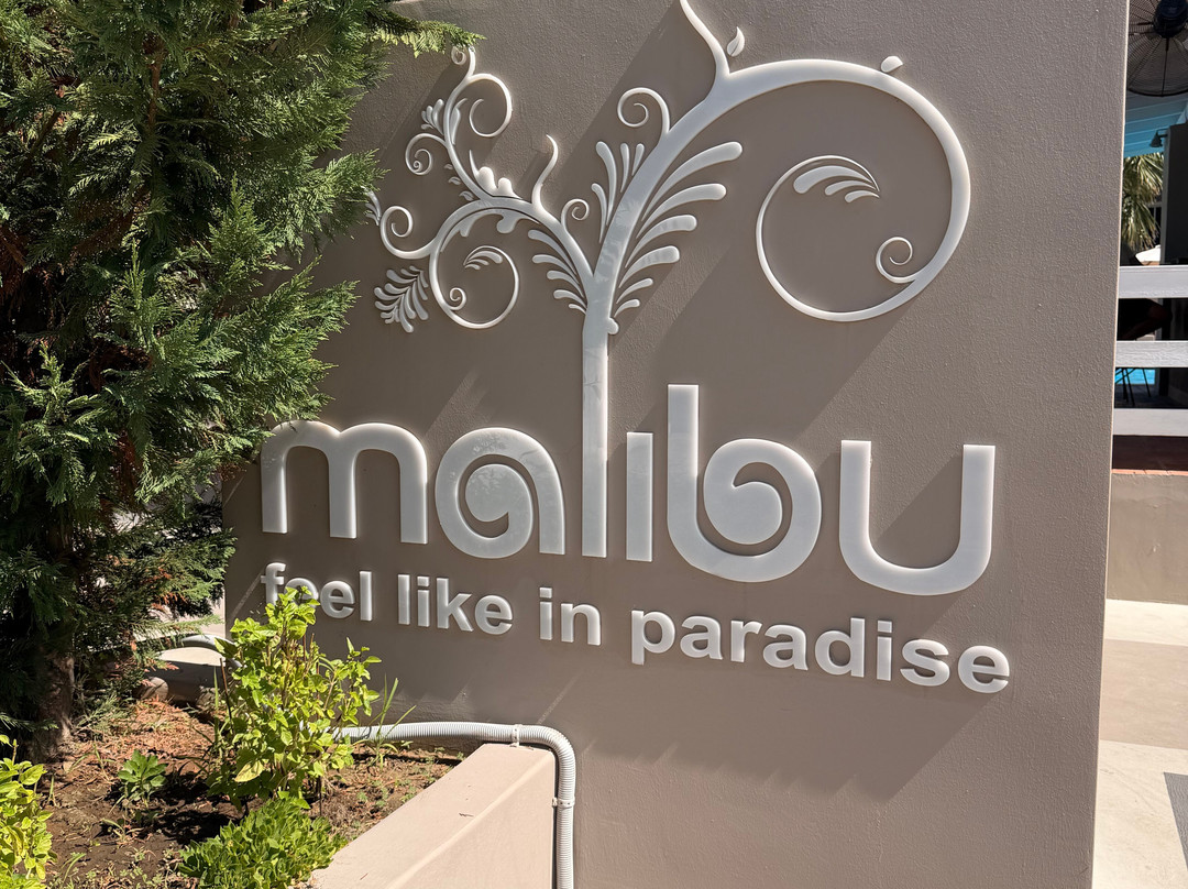Malibu Summer-Dassia必去景点