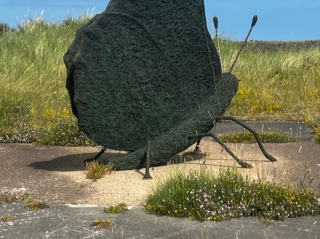 Spurn Point-Easington必去景点