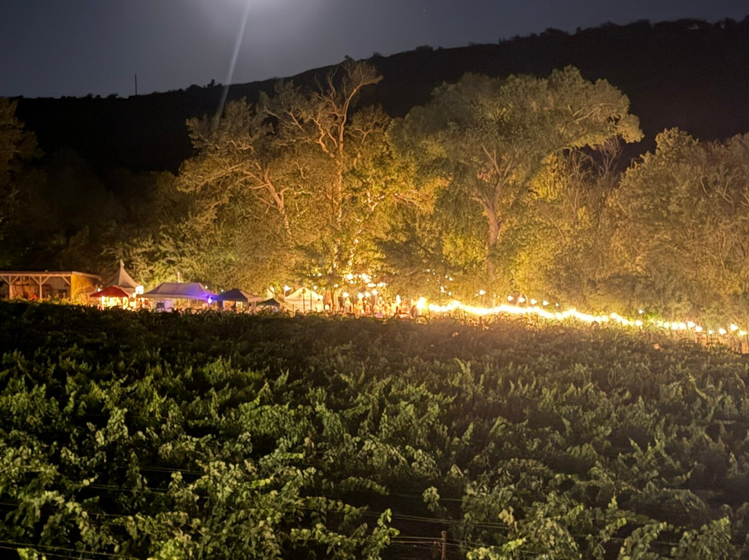 Page Springs Cellars-Cornville必去景点