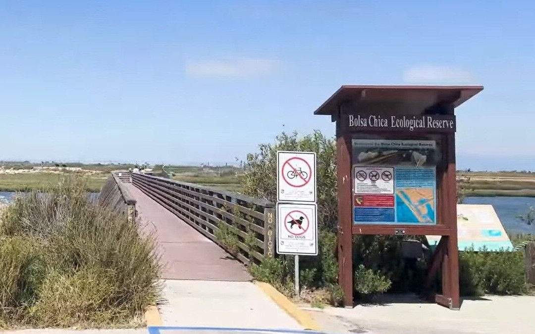 Bolsa Chica Ecological Reserve-亨廷顿海滩必去景点