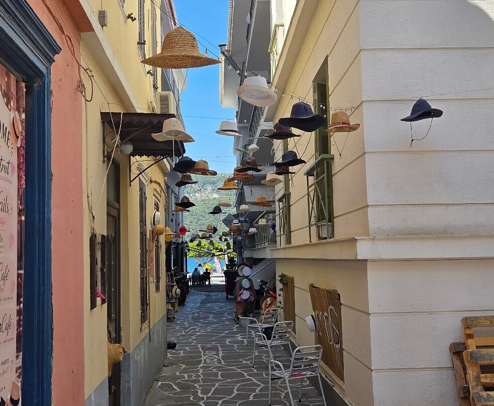 Samos-Samos Town必去景点
