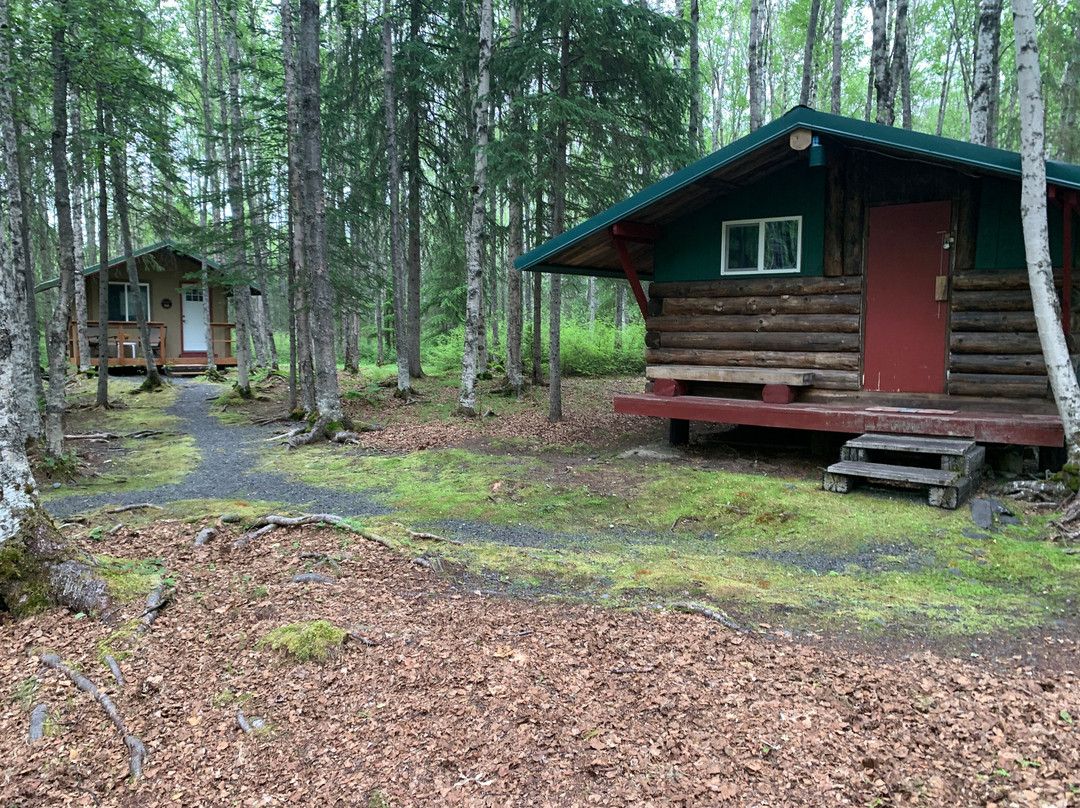 Little Cabins In The Woods