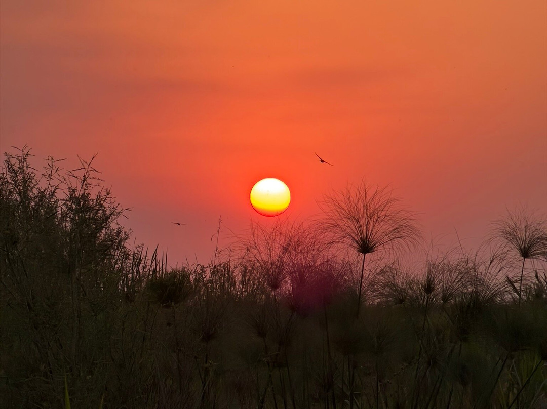 Tent With a View Safaris-Dar es Salaam必去景点