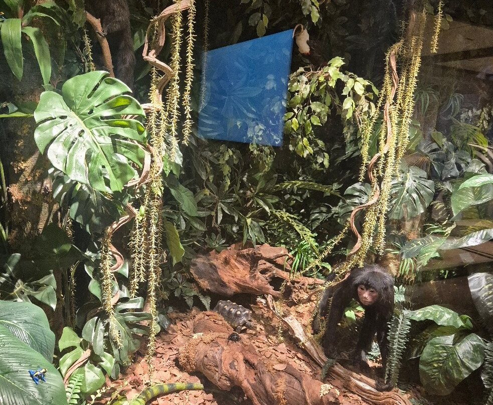 Museo di Storia Naturale - Universita di Pisa-Calci必去景点
