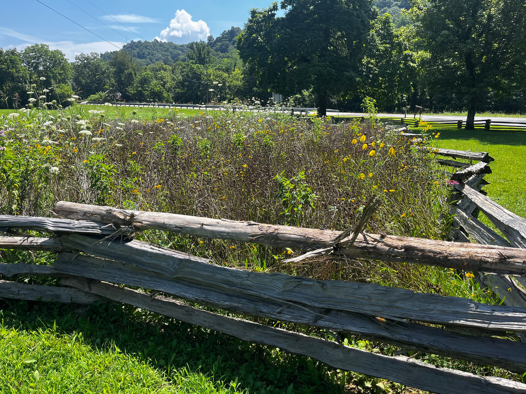 Abraham Lincoln Boyhood Home at Knob Creek-Hodgenville必去景点