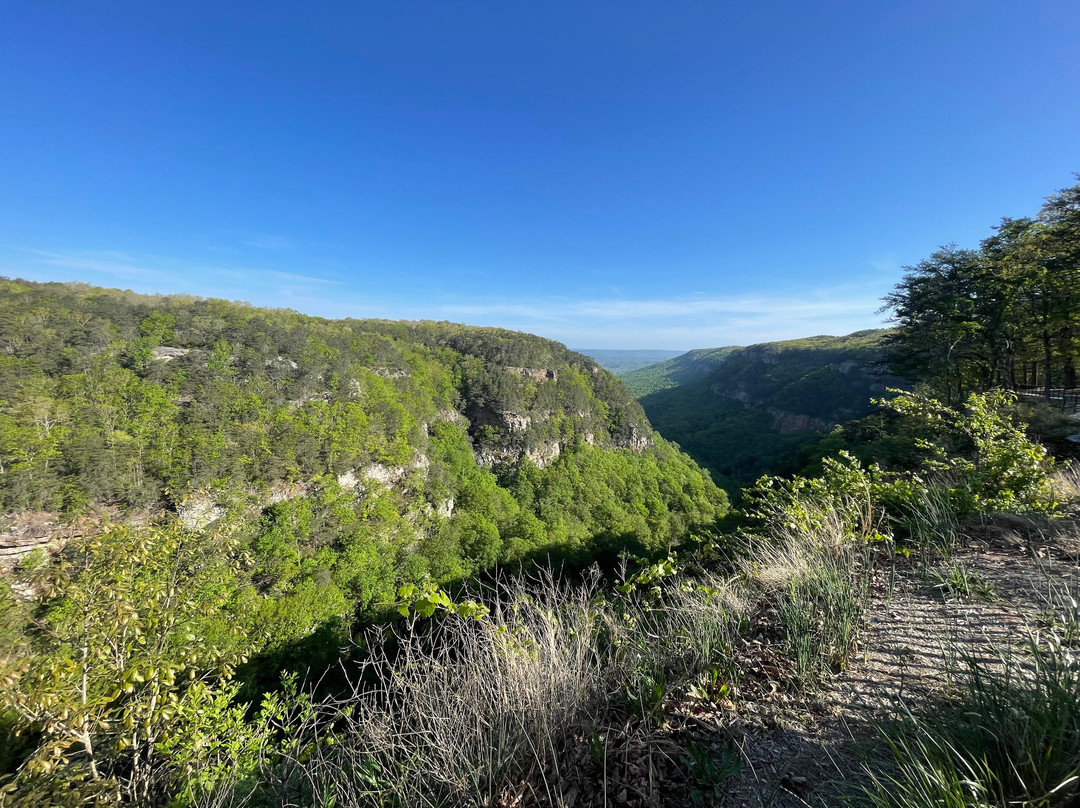 Cloudland Canyon State Park-Rising Fawn必去景点